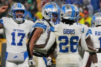 houston texans vs detroit lions match player stats